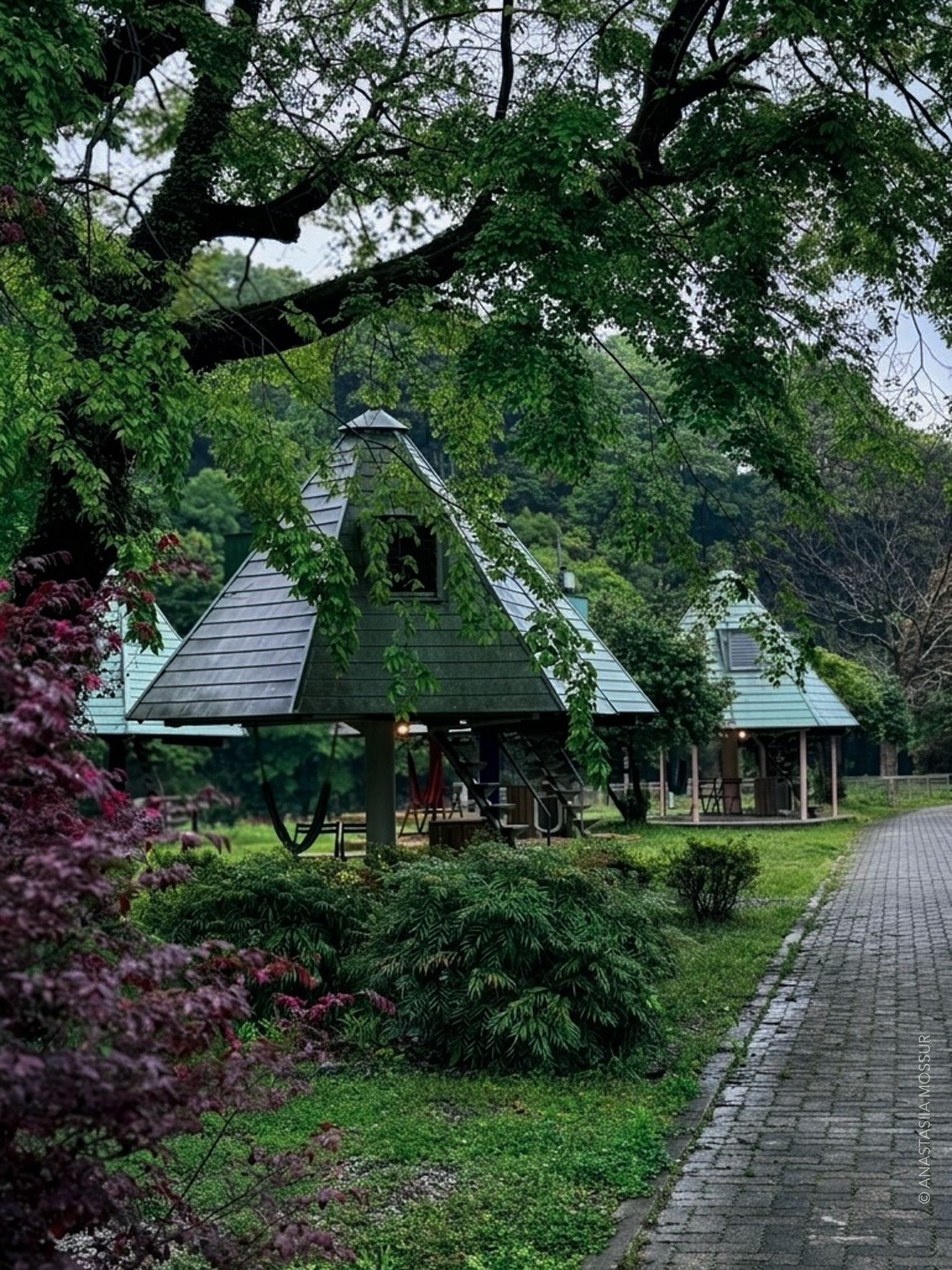 Lodge Kiyokawa