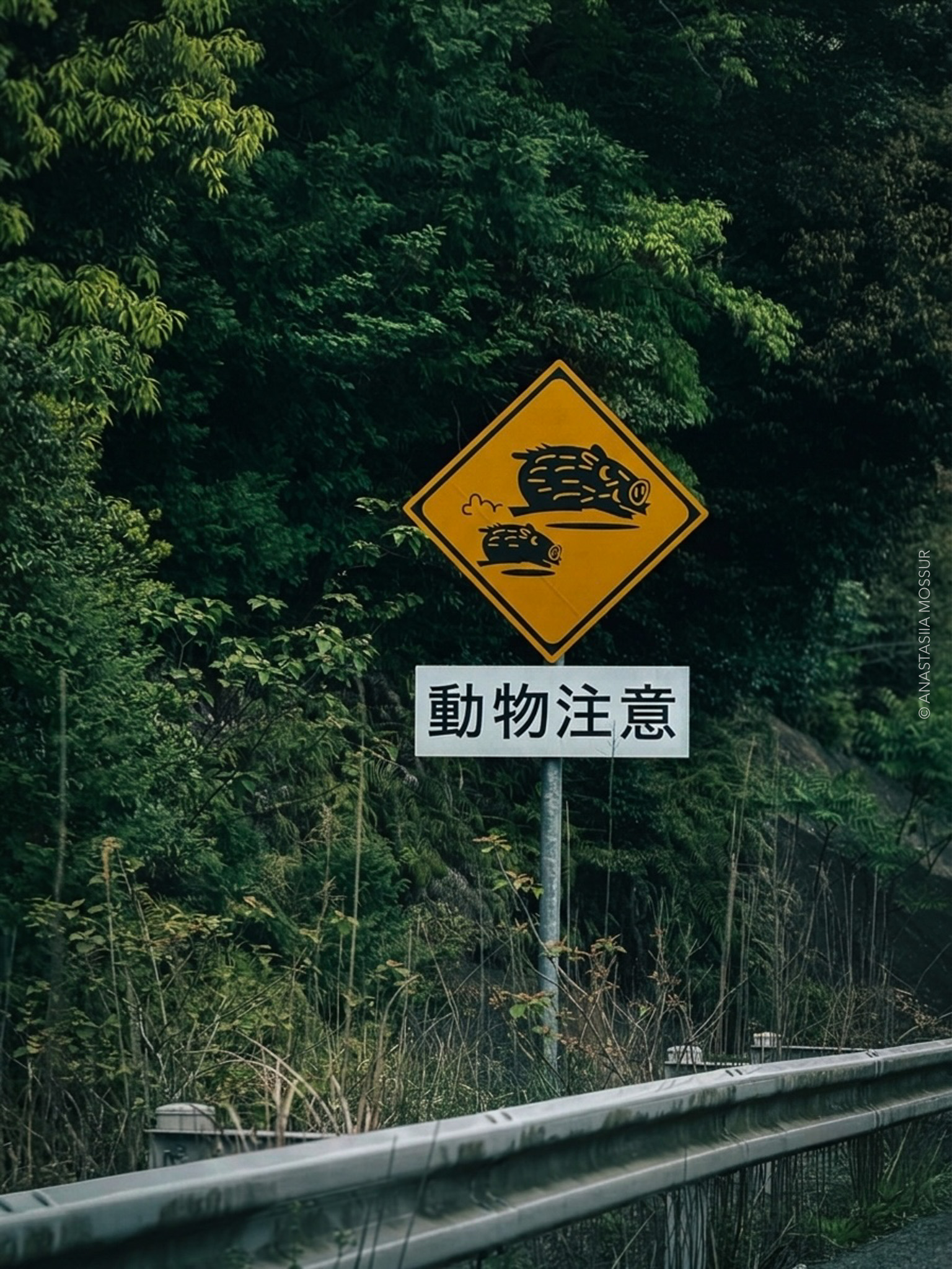 Karatsu, Ochicho Nagaheta